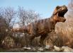 Image from Tyrannosaurus Rex Modeling Photo References - 250829thyranosaurus_0111.jpg