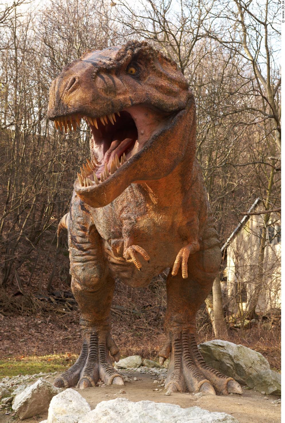 Image from Tyrannosaurus Rex Modeling Photo References - 250831thyranosaurus_0112.jpg