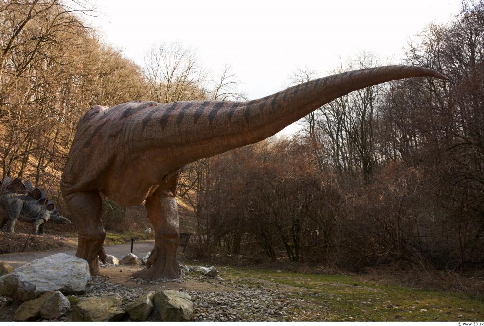 Image from Tyrannosaurus Rex Modeling Photo References - 250837thyranosaurus_0115.jpg