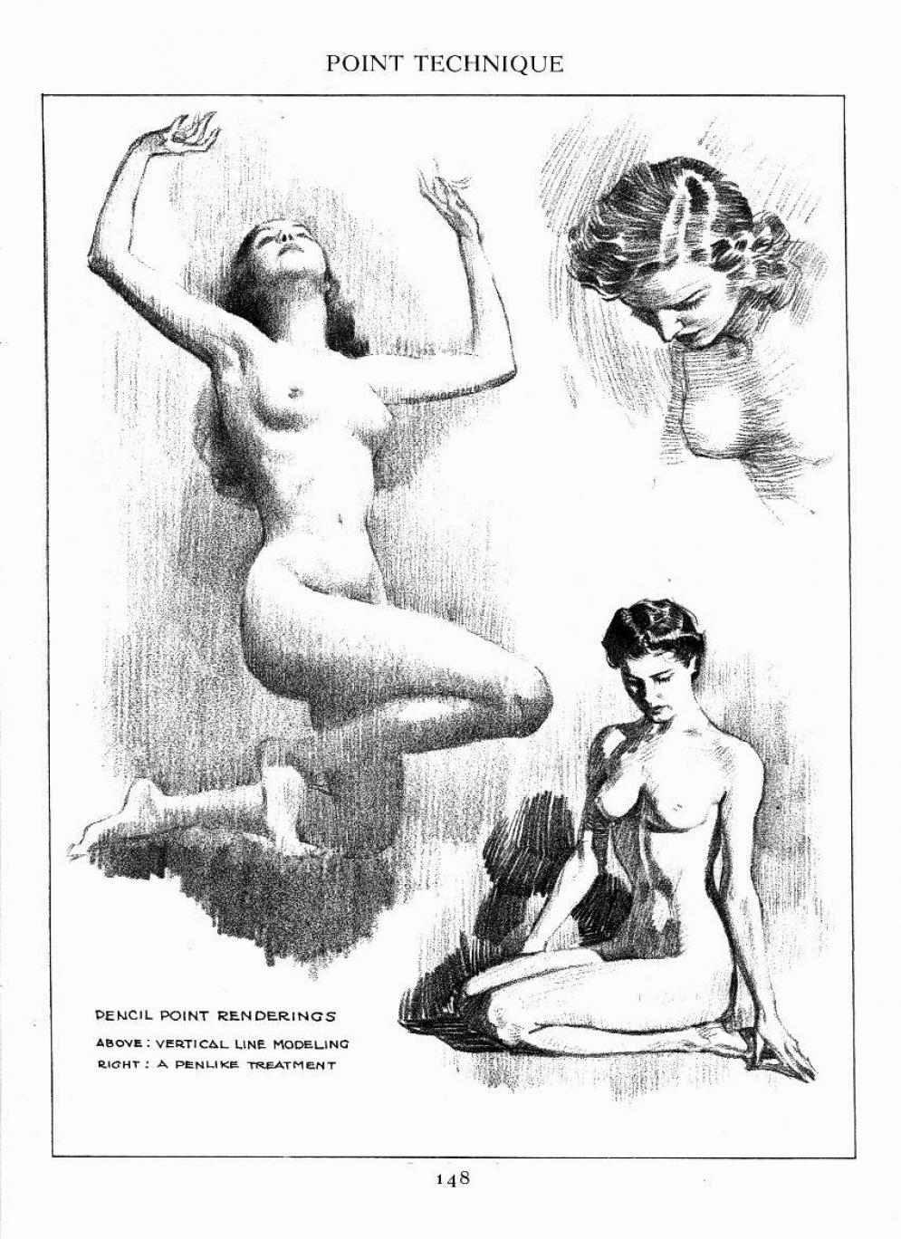 Image from Andrew Loomis Anatomy Books - loomis.jpg