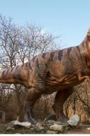 Image from Tyrannosaurus Rex Modeling Photo References - 250829thyranosaurus_0111.jpg