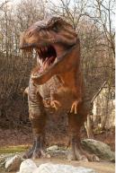 Image from Tyrannosaurus Rex Modeling Photo References - 250831thyranosaurus_0112.jpg