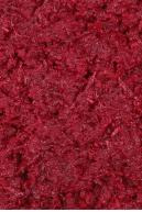 Image from Free Food textures from environment-textures.com - beetroot0004.jpg