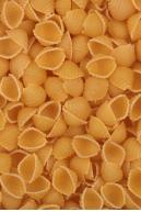Image from Free Food textures from environment-textures.com - pasta0012.jpg