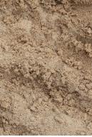 Image from  Free Sand textures from environment-textures.com - sand0012.jpg