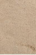 Image from  Free Sand textures from environment-textures.com - sand0053.jpg