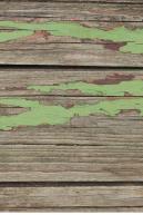 Image from Various environment textures pack - wood0009.jpg